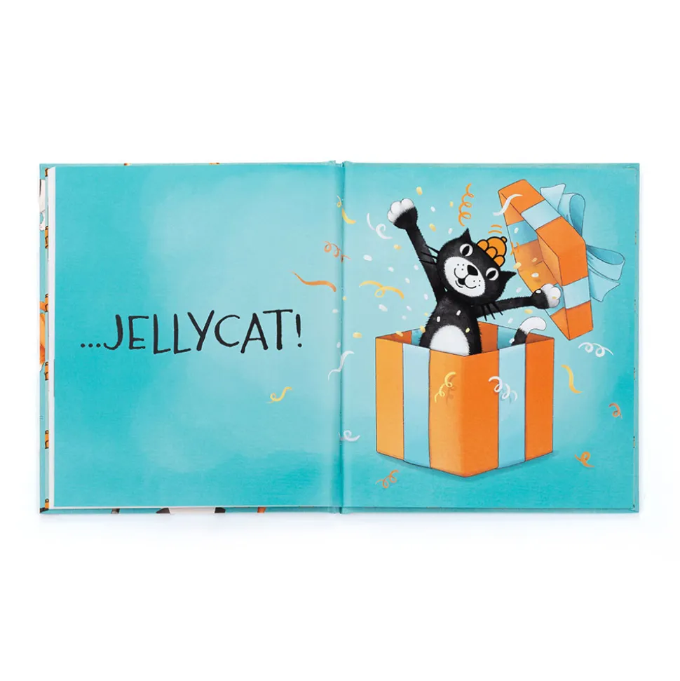 All Kinds of Cats Book