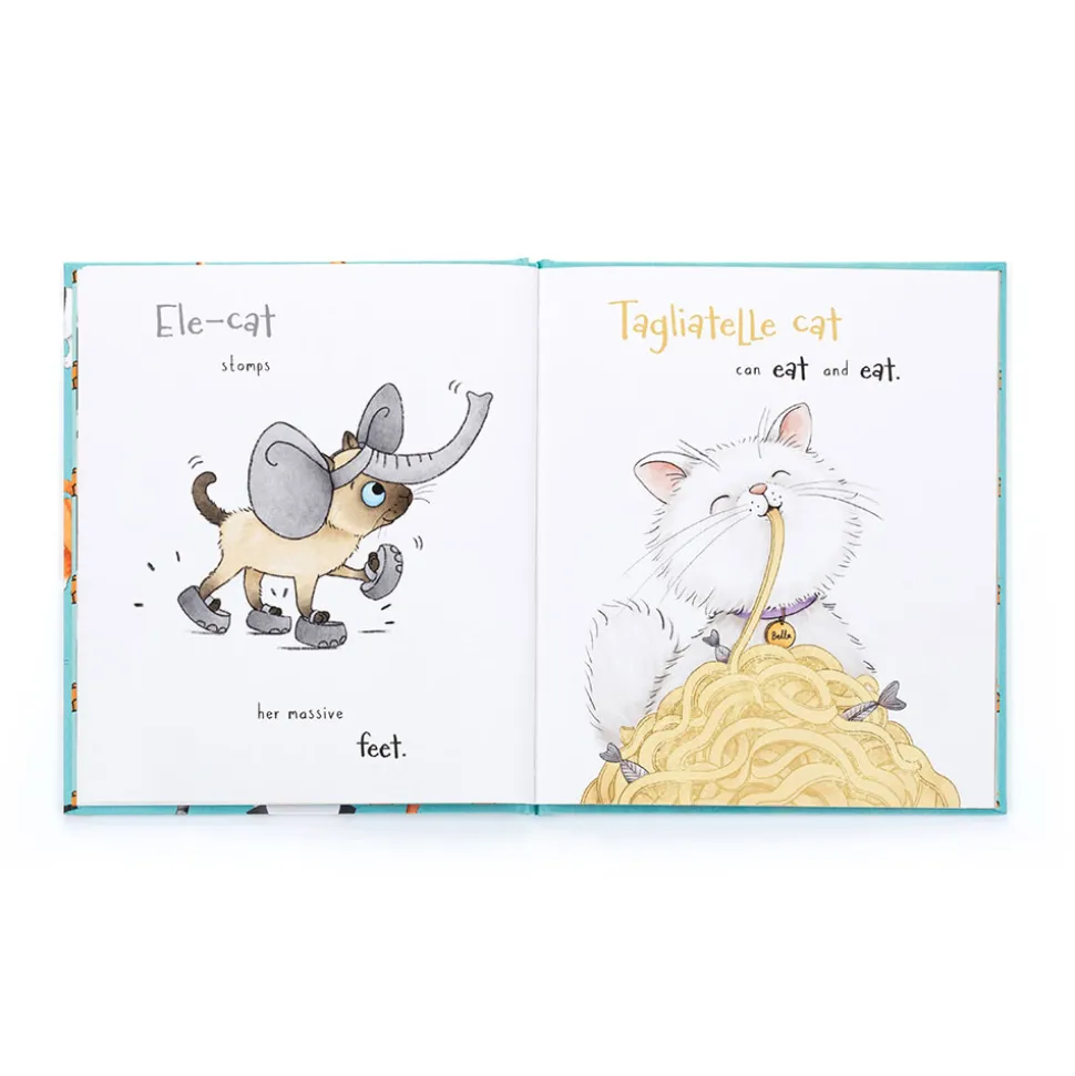 All Kinds of Cats Book