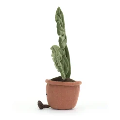 Amuseables Monstera Plant