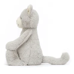 Bashful Grey Kitty