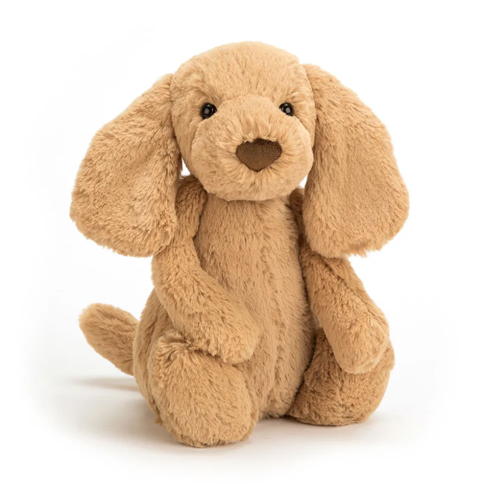 Bashful Toffee Puppy