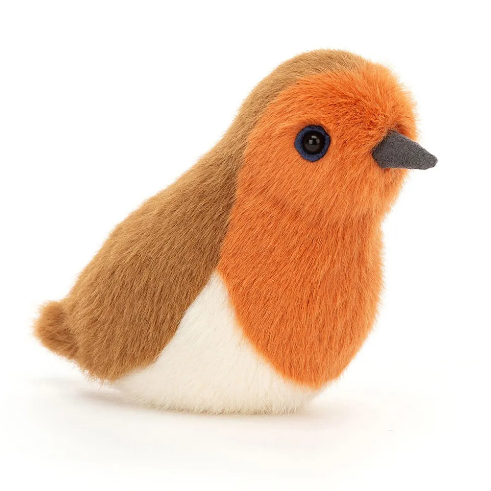 Birdling Robin