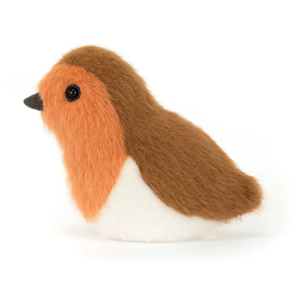 Birdling Robin