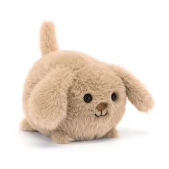 Caboodle Puppy