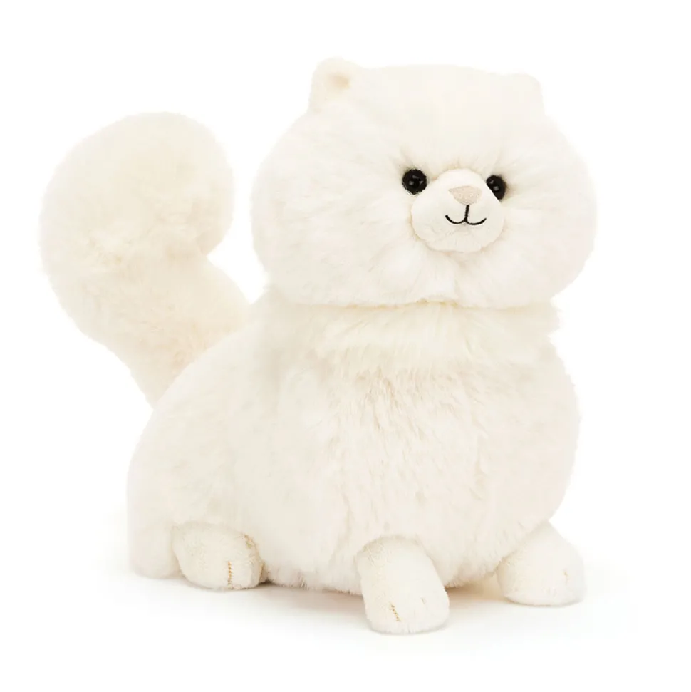 Carissa Persian Cat