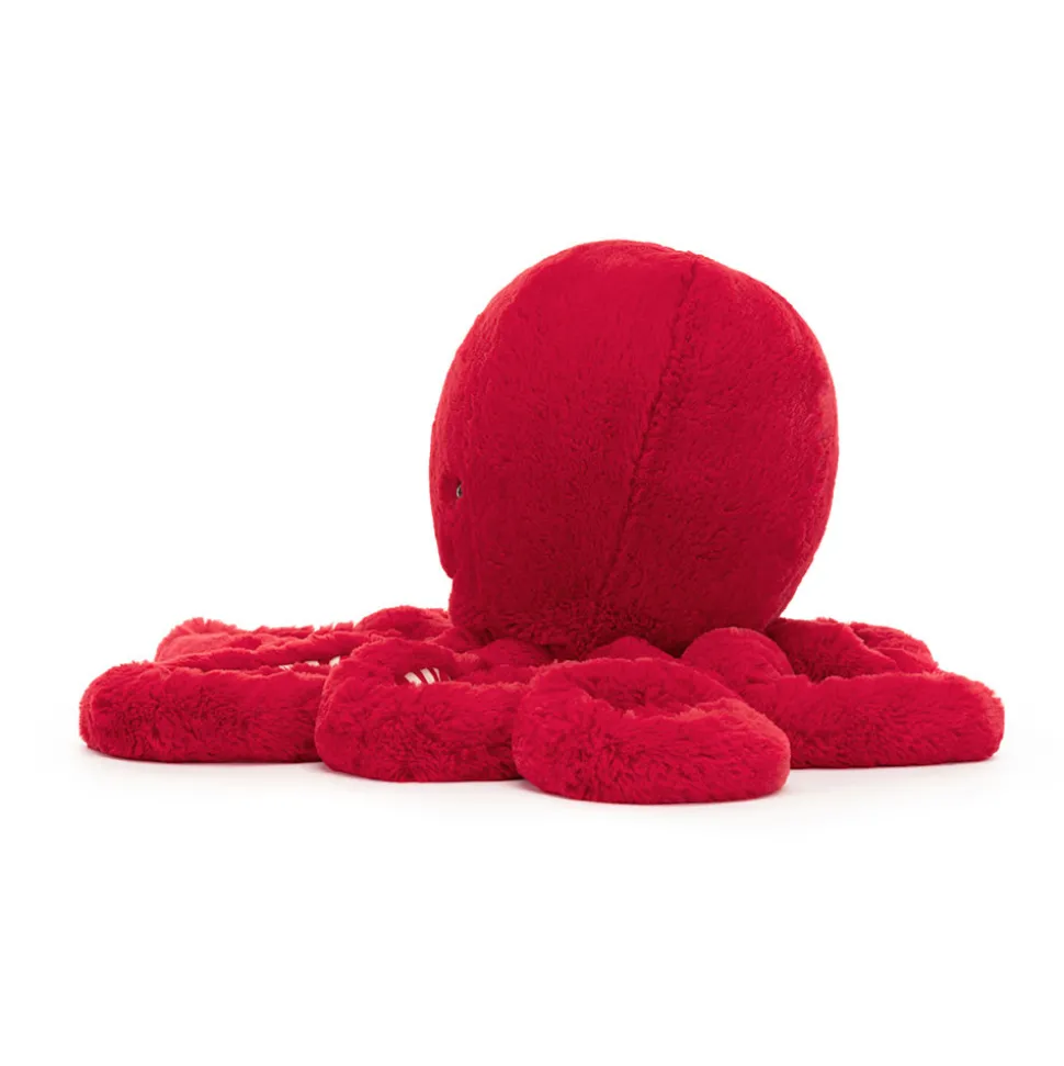 Cranberry Octopus