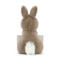 Messenger Bunny