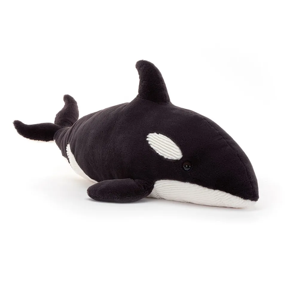 Ollivander the Orca