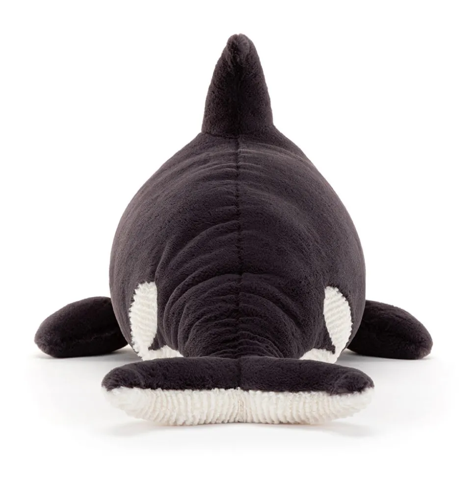 Ollivander the Orca