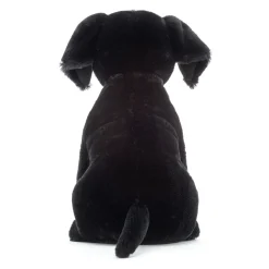 Pippa Black Labrador