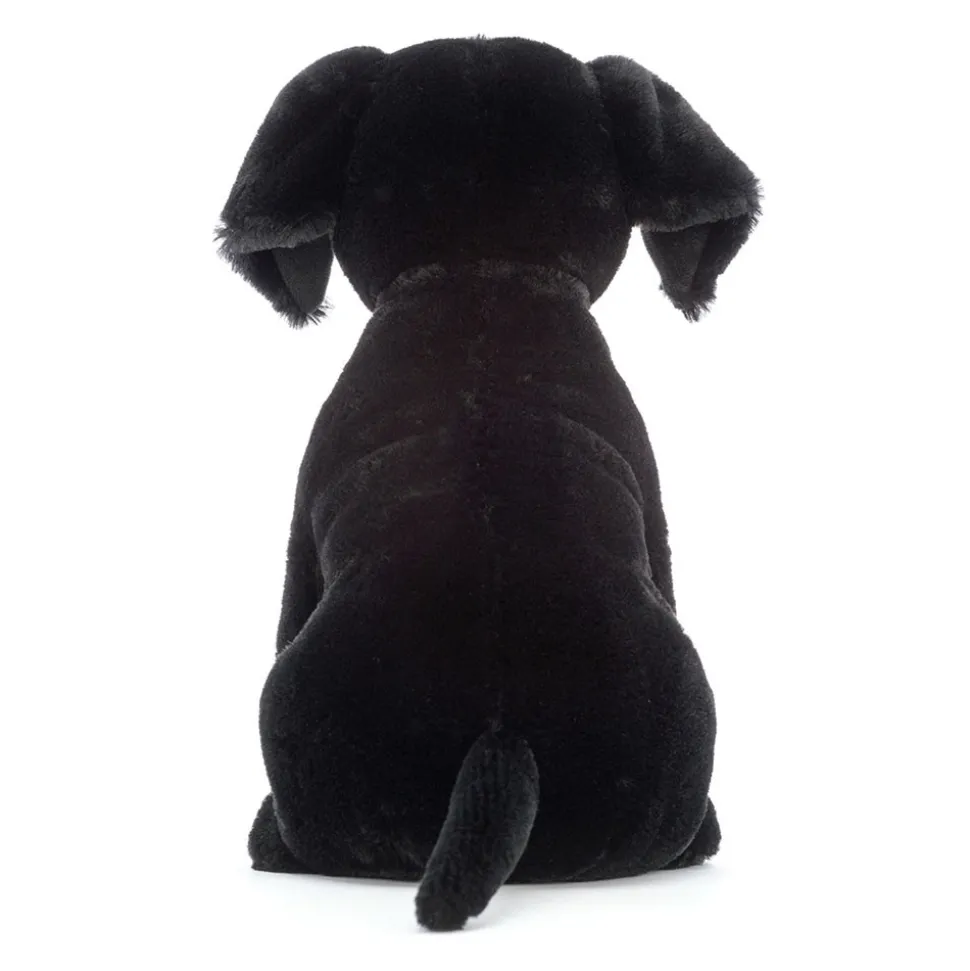 Pippa Black Labrador