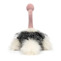 Ramonda Ostrich