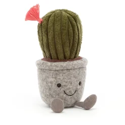 Silly Succulent Barrel Cactus