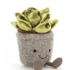 Silly Succulent Jade
