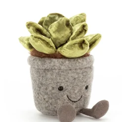 Silly Succulent Jade