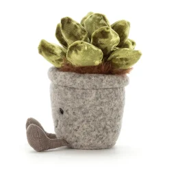 Silly Succulent Jade