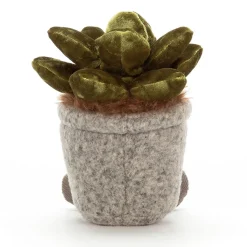 Silly Succulent Jade