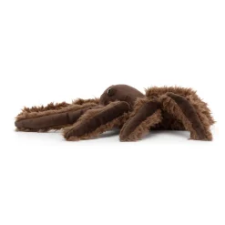 Spindleshanks Spider