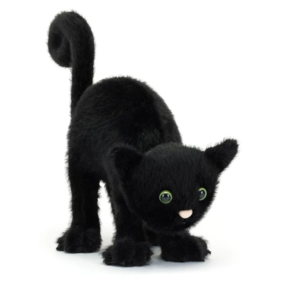 Spookipaws Cat