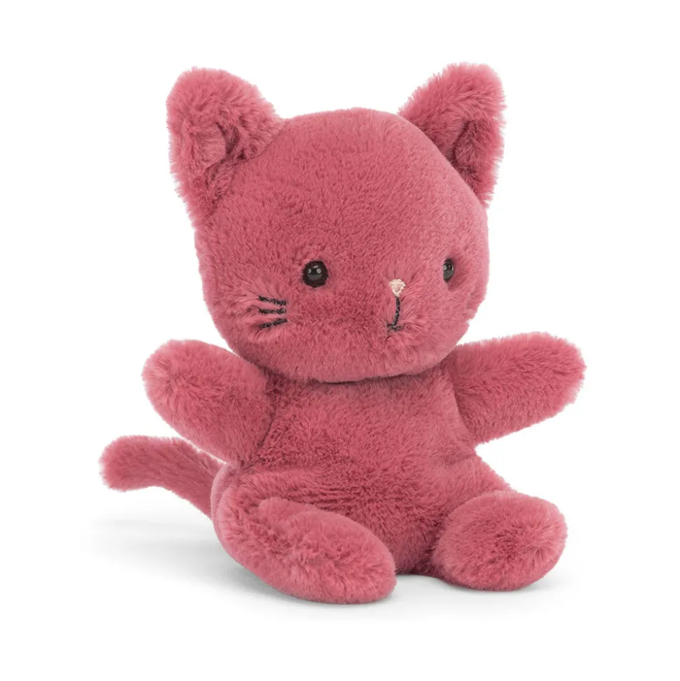 Sweetsicle Cat