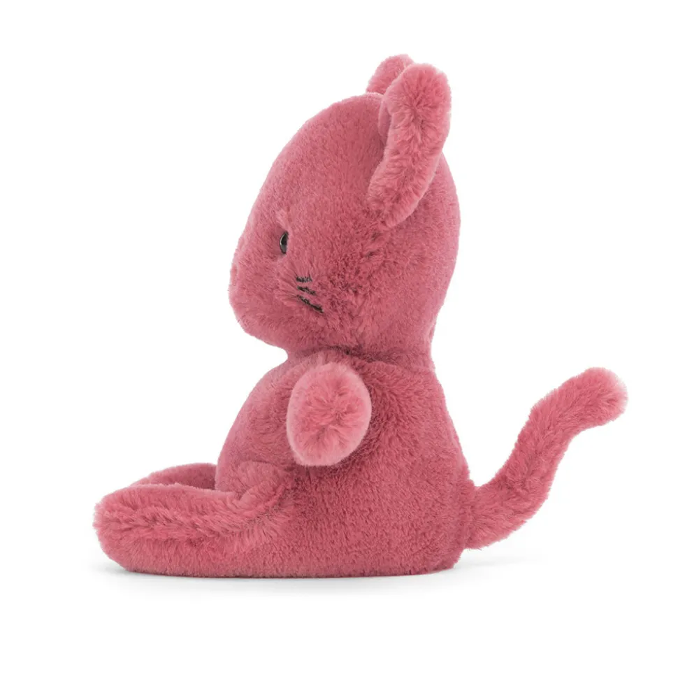 Sweetsicle Cat