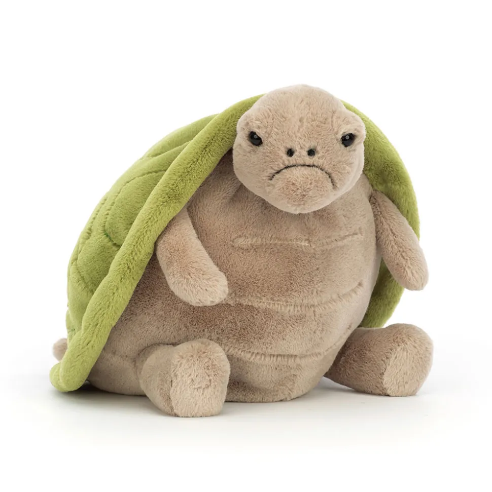 Timmy Turtle