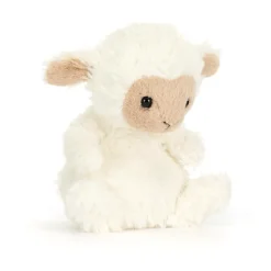 Yummy Lamb
